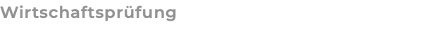 Wirtschaftsprüfung